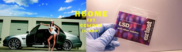 дживик Алексин