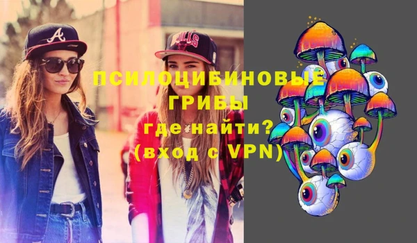 ГАЛЛЮЦИНОГЕННЫЕ ГРИБЫ Алексеевка