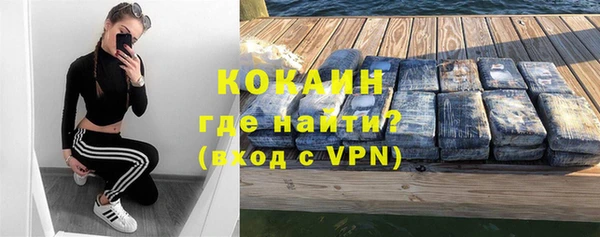 дживик Алексин