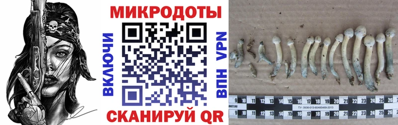 Галлюциногенные грибы прущие грибы  хочу наркоту  Бронницы 